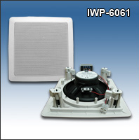 IWP-6061      